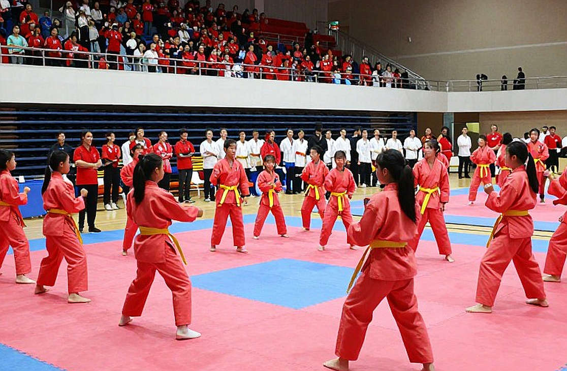 Một nhãn chung cho ba môn võ: vì sao hồ sơ không xác minh được lại nguy hiểm hơn một cáo buộc sai
